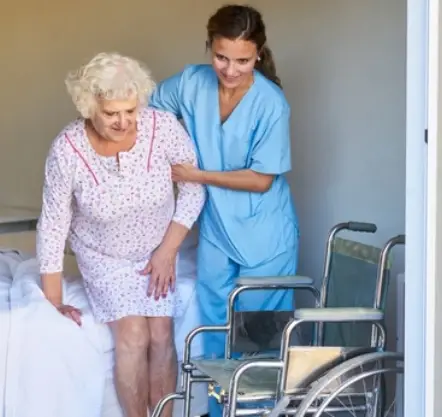 NDIS Services Bayles