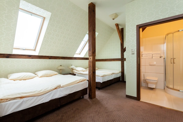 Standard Shared Room
