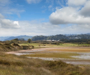 Narre Warren
