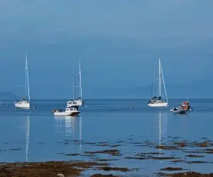 Armadale